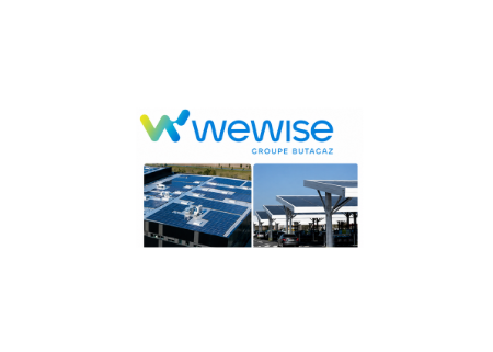 WEWISE